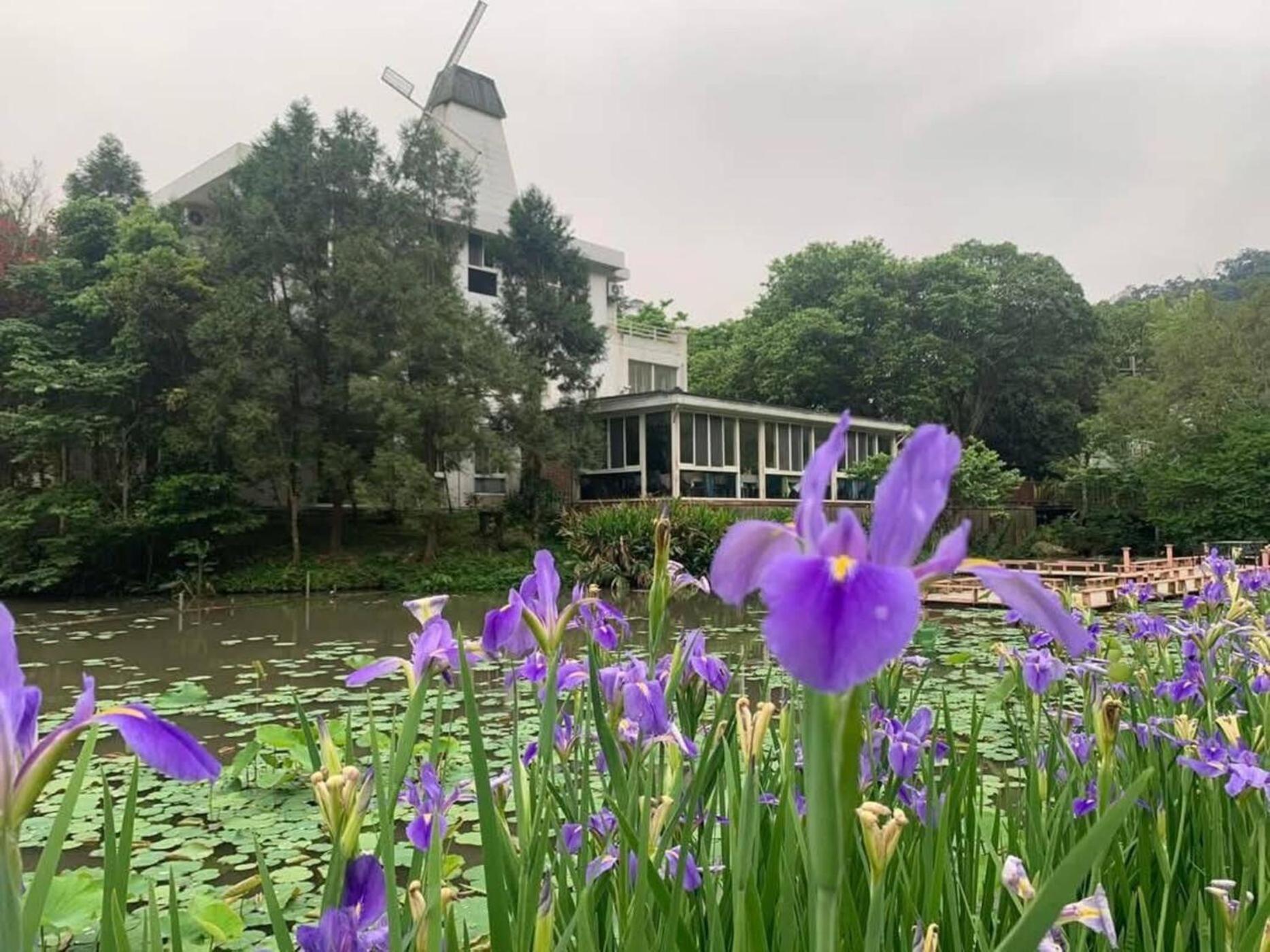 Lily Village Nanzhuang Dış mekan fotoğraf